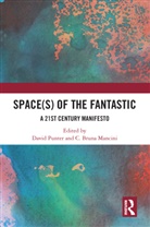 David Mancini Punter, C. Bruna Mancini, David Punter - Space(s) of the Fantastic