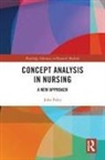 John Paley, Paley John - Concept Analysis in Nursing