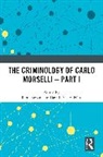 Remi (Universite De Montreal Boivin, Rémi Boivin, David Décary-Hétu - Criminology of Carlo Morselli - Part I