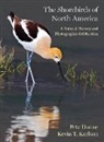 Pete Dunne, Pete Karlson Dunne, Dunne Pete, Kevin T. Karlson, Karlson Kevin T. - Shorebirds of North America
