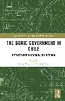 Carlos Silva Pena, Carlos Peña, Patricio Silva, Silva Patricio - Boric Government in Chile