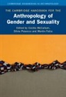 Cecilia (Universidade Federal Da Bahia Mccallum, Fotta Martin, McCallum Cecilia, Posocco Silvia - Cambridge Handbook for the Anthropology of Gender and Sexuality