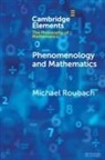 Michael Roubach, Michael (Hebrew University of Jerusalem) Roubach, Roubach Michael - Phenomenology and Mathematics