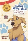 Pat McCaw, McCaw Pat, Beth Hughes - Lumos Keeps Calm
