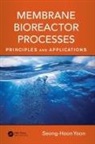 Seong-Hoon Yoon, Yoon Seong-Hoon - Membrane Bioreactor Processes