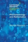 Michael Roubach, Michael (Hebrew University of Jerusalem) Roubach, Roubach Michael - Phenomenology and Mathematics