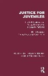Denise Fears, Roger Fuller, Fuller Roger, Philip Priestley, Philip Fears Priestley, Priestley Philip - Justice for Juveniles