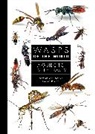 Gavin Broad, Simon van Noort, Simon Van Broad Noort - Wasps of the World