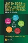 Jiju Antony, Jiju (Heriot-Watt University Antony, Jiju Vinodh Antony, Antony Jiju, E. V. Gijo, Gijo E. V.... - Lean Six Sigma for Small and Medium Sized Enterprises