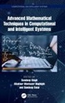 Sandeep Haghighi Singh, Sandeep Dalal, Aliakbar Montazer Haghighi, Haghighi Aliakbar Montazer, Sandeep Singh, Singh Sandeep - Advanced Mathematical Techniques in Computational and Intelligent