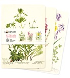 Flame Tree Publishing - Royal Botanic Garden Edinburgh Set of 3 Midi Notebooks