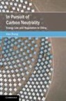 Hao Zhang, Hao (The Chinese University of Hong Kong) Zhang, Zhang Hao - In Pursuit of Carbon Neutrality