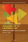 Michael A. Bailey, Michael A. (Georgetown University Bailey, Bailey Michael A. - Polling At a Crossroads