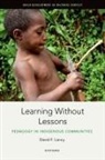 David F. Lancy, David F. (Emeritus Professor of Anthropolog Lancy, Lancy David F. - Learning Without Lessons