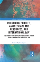 Endalew Lijalem Enyew - Indigenous Peoples, Marine Space and Resources, and International Law