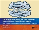 Joseph Altman, Altman Joseph, Shirley A. Bayer, Shirley A. (Indianapolis Bayer, Shirley A. Altman Bayer, Bayer Shirley A. - Human Brain During the Third Trimester 260 to 270mm Crown-Rump Lengths