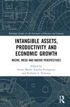 Carter Protogerou Bloch, Carter Bloch, Aimilia Protogerou, Nicholas S. Vonortas, Vonortas Nicholas S. - Intangible Assets, Productivity and Economic Growth