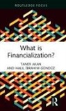 Taner Akan, Taner Gunduz Akan, Akan Taner, Halil İbrahim Gündüz - What Is Financialization?
