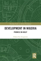 Edlyne Eze Anugwom - Development in Nigeria