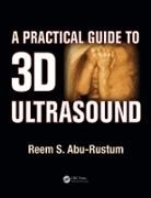 Reem S. Abu-Rustum, Abu-Rustum Reem S. - Practical Guide to 3d Ultrasound