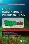 Roberta (Vrije Universiteit Croce, Roberta Croce, Croce Roberta, Herbert van Amerongen, Rienk van Grondelle, Ivo van Stokkum - Light Harvesting in Photosynthesis