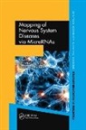 Christian (Institute of Cell Biology and Barbato, Christian Ruberti Barbato, Christian Barbato, Barbato Christian, Francesca Ruberti, Ruberti Francesca - Mapping of Nervous System Diseases Via Micrornas