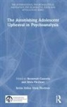 Roosevelt (Full Professor Cassorla, Roosevelt Cassorla, Cassorla Roosevelt, Silvia Flechner, Flechner Silvia - Astonishing Adolescent Upheaval in Psychoanalysis