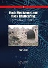 Omer Aydan, Ömer Aydan, Omer (University of the Ryukyus Aydan - Rock Mechanics and Rock Engineering