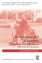 Anna Maria Nicolo, Anna Maria Nicolò - Developmental Ruptures