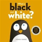 John Kane, Kane John - What Is Black and White?