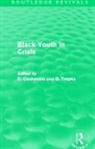 E. (Ashton University Cashmore, E. Cashmore, Cashmore E., B. Troyna - Black Youth in Crisis (Routledge Revivals)