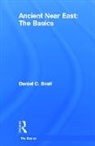Daniel C. Snell, Snell Daniel C. - Ancient Near East: The Basics