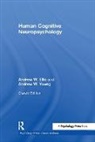 Andrew W. Ellis, Andrew W. Young Ellis, Ellis Andrew W., Andrew W. Young, Young Andrew W. - Human Cognitive Neuropsychology (Classic Edition)
