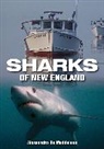 Alessandrao Maddalena, Alessandrao De Maddalena, Maddalena Alessandrao De - Sharks of New England