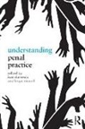 Ioan Mcneill Durnescu, Ioan Durnescu, Durnescu Ioan, Fergus McNeill, McNeill Fergus - Understanding Penal Practice