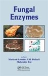 Maria De Lourdes T. M. Rai Polizeli, Maria de Lourdes T M Polizeli, Maria de Lourdes T. M. Polizeli, Mahendra Rai, Rai Mahendra - Fungal Enzymes