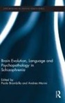 Paolo (Policlinico Universitario Brambilla, Paolo (University of Udine Brambilla, Paolo Brambilla, Brambilla Paolo, Andrea Marini, Marini Andrea - Brain Evolution, Language and Psychopathology in Schizophrenia