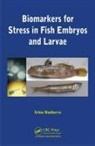 Irina Rudneva, Rudneva Irina - Biomarkers for Stress in Fish Embryos and Larvae