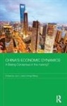 Jun (Kansas State University Li, Jun Li, Li Jun, Liming Wang, Wang Liming - China''s Economic Dynamics