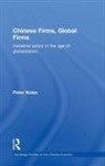 Peter Nolan, Nolan Peter - Chinese Firms, Global Firms