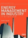 David Thorpe - Energy Management in Industry