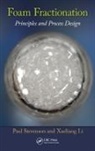 Xueliang Li, Li Xueliang, Paul Stevenson, Paul (Cottingham Stevenson, Paul Li Stevenson - Foam Fractionation