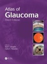 Neil T. (Eye Care of San Diego Choplin, Neil T. Traverso Choplin, Neil T. Choplin, Choplin Neil T., Carlo E. Traverso, Traverso Carlo E. - Atlas of Glaucoma