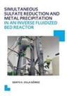 Denys Kristalia Villa Gómez, Denys Kristalia Villa Gomez, Villa Gomez Denys Kristalia - Simultaneous Sulfate Reduction Metal Precipitation in an Inverse