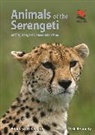 Vicki Beard, Adam Kennedy, Adam Scott Kennedy, Adam Scott Beard Kennedy, Adam Scott Kennedy Kennedy, Kennedy Adam Scott... - Animals of the Serengeti