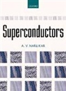 A. V. Narlikar, A. V. (Senior Scientist and Fellow Narlikar - Superconductors