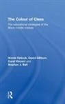 Stephen J. Ball, David Gillborn, Gillborn David, Nicola Rollock, Nicola Gillborn Rollock, Rollock Nicola... - Colour of Class
