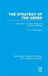C H Waddington, C. H. Waddington, C.H. Waddington - Strategy of the Genes