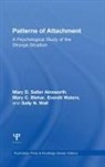Mary D. Salter Ainsworth, Mary D. Salter (University of Virginia Ainsworth, Ainsworth Mary D. Salter, Mary C. Blehar, Blehar Mary C., Sally N. Wall... - Patterns of Attachment