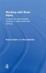 Ross Balchin, Balchin Ross, Rudi Coetzer, Rudi (North Wales Brain Injury Service Coetzer, Coetzer Rudi - Working With Brain Injury